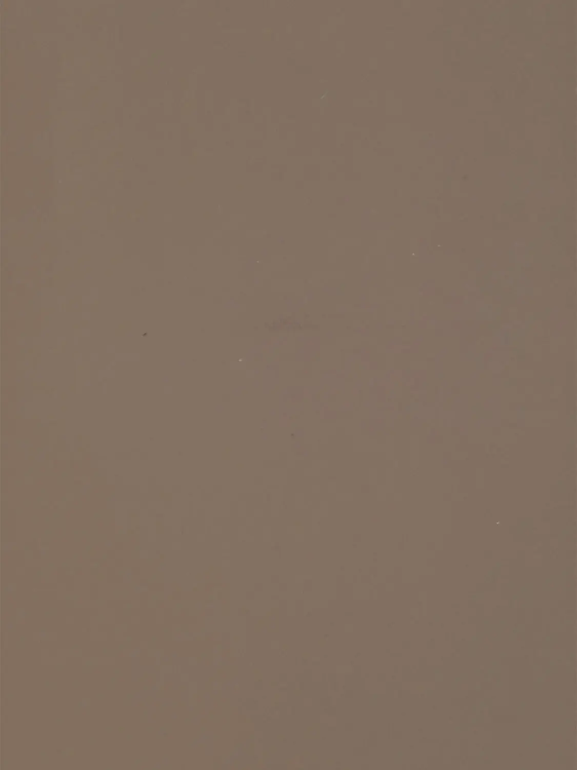 22081