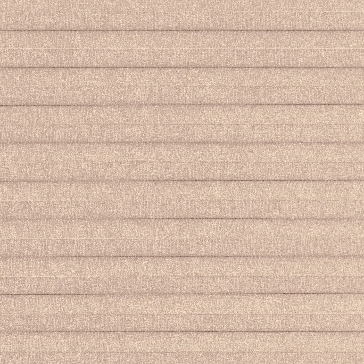 C76005