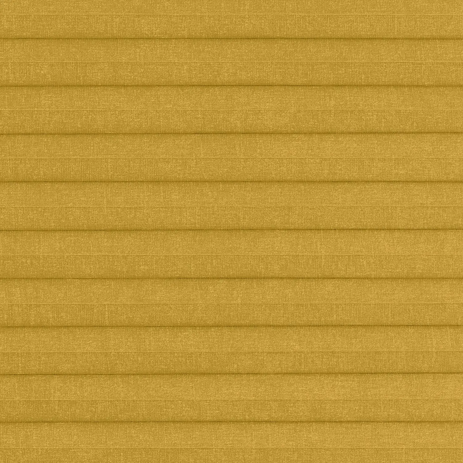 C76019